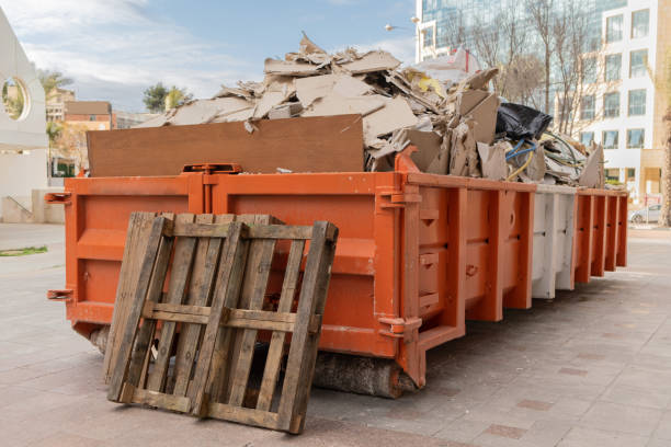 Best Junk Removal and Recycling  in Denmark, SC