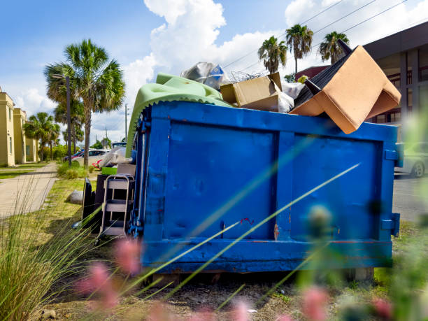 Best Estate Cleanout Services  in Denmark, SC