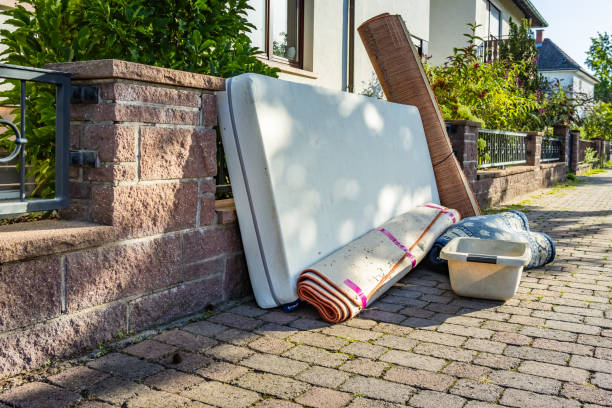 Best Yard Cleanup Services  in Denmark, SC